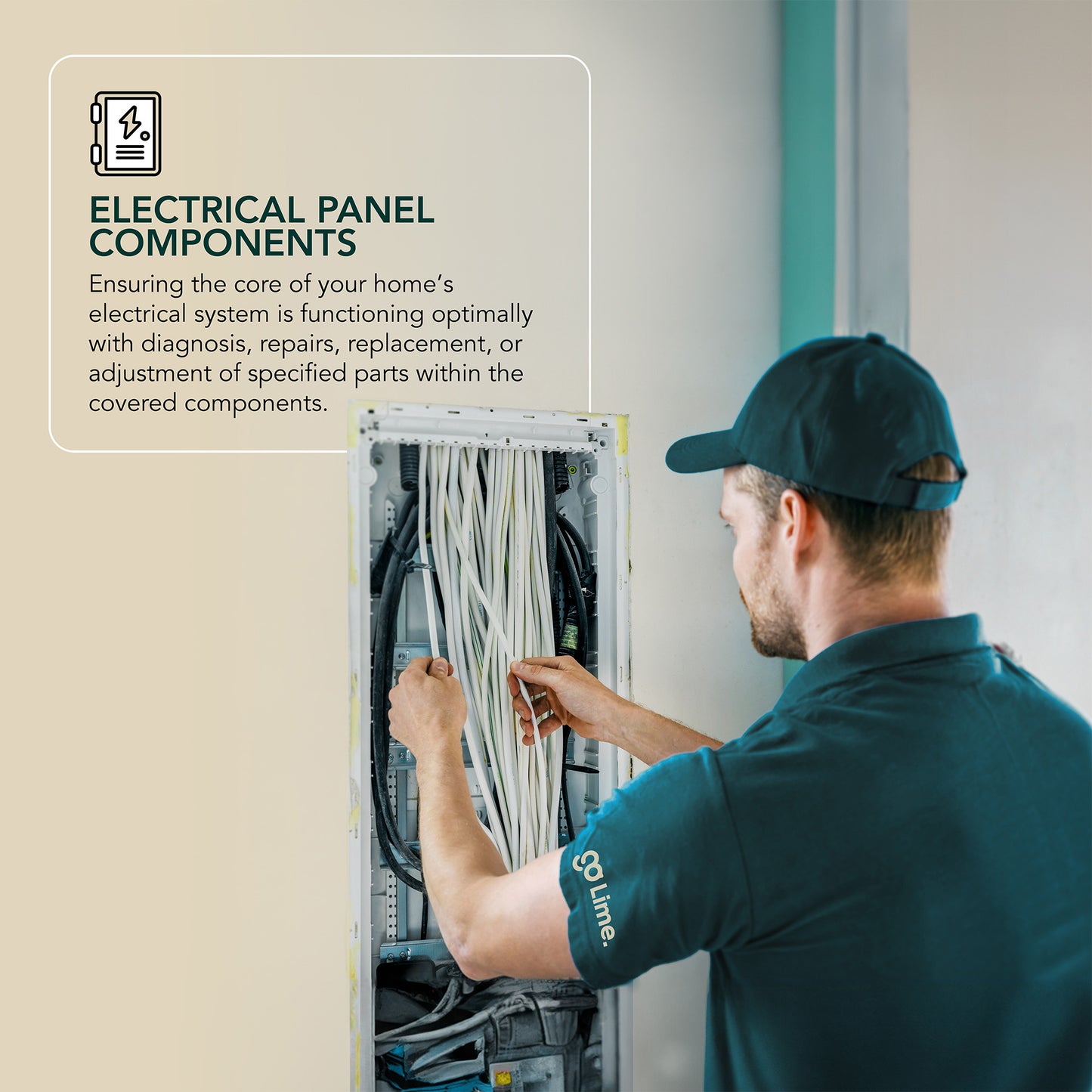 Electrical Protection Plan