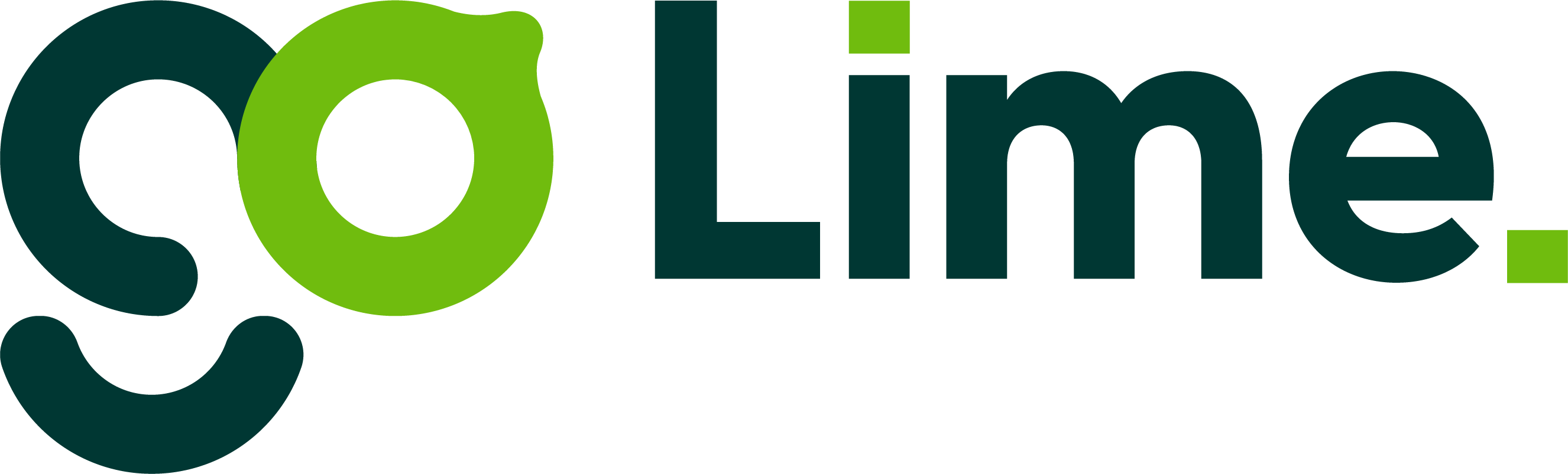 Go Lime - Revolutionizing Water Heaters & Home Comfort