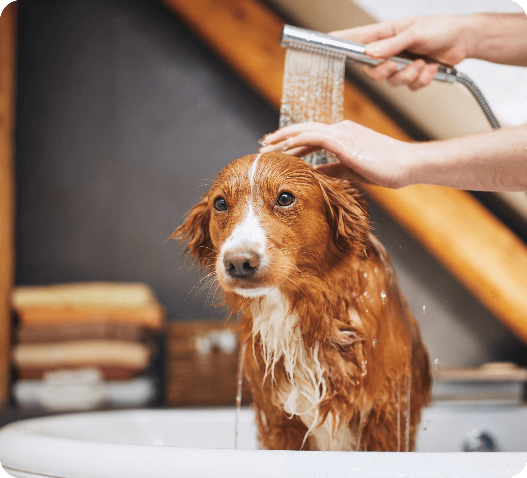 Hot water heater tank installation in Ontario