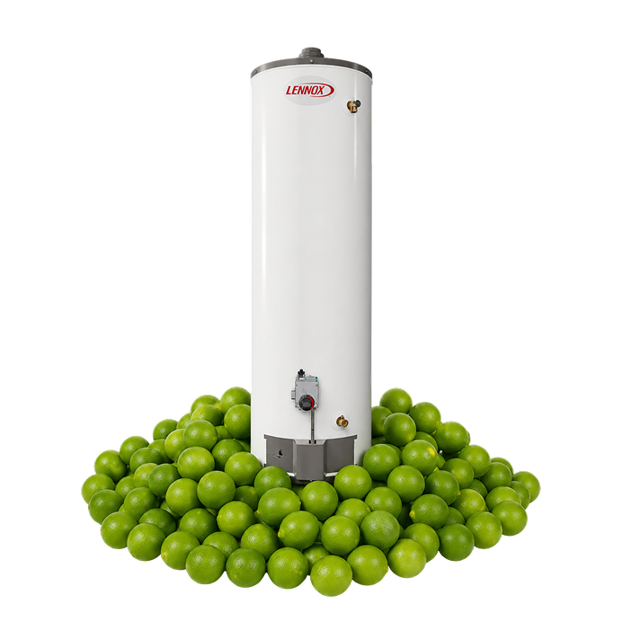 Lennox 50 Gallon Chimney Vented Water Heater