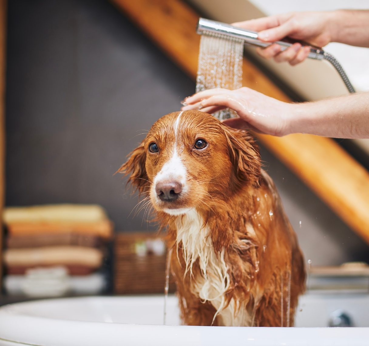 Water Heater Installation in Brantford